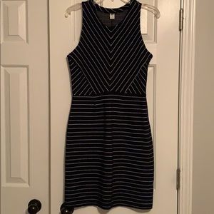 NWOT - Navy and White Bodycon Dress